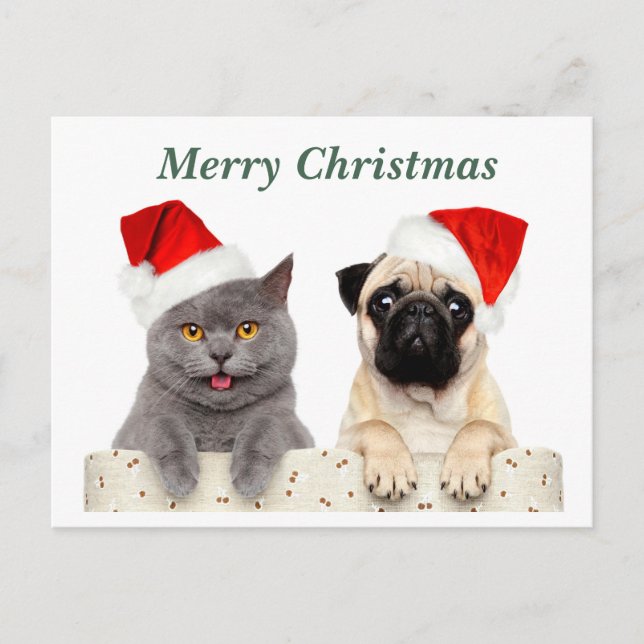 God jul Cat och Pug hund Helg Vykort (Framsida)