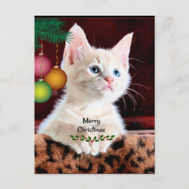 God jul Cat Ornament Vykort