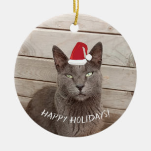 God jul Cat Photo Julgransprydnad Keramik
