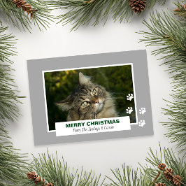 God jul Cat White Tass avtryck Photo Julkort