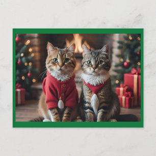 God jul Cats Helg Vykort