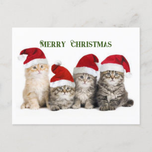 God jul Cats Helg Vykort