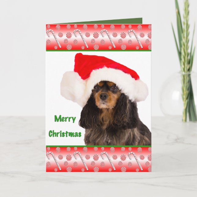 God Jul Cavalier King Charles-kort Helgkort (Framsida)