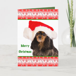 God Jul Cavalier King Charles-kort Helgkort