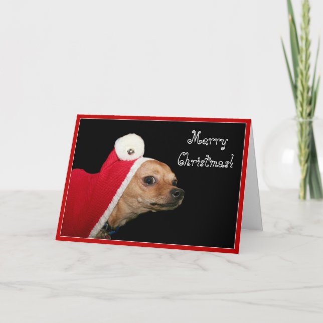 God jul Chihuahua-hälsningskort Helgkort (Framsida)