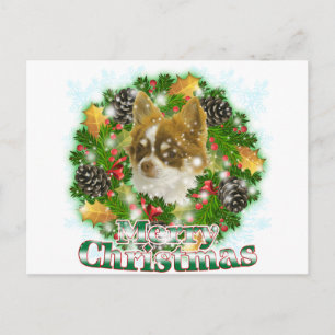 God jul Chihuahua Helg Vykort