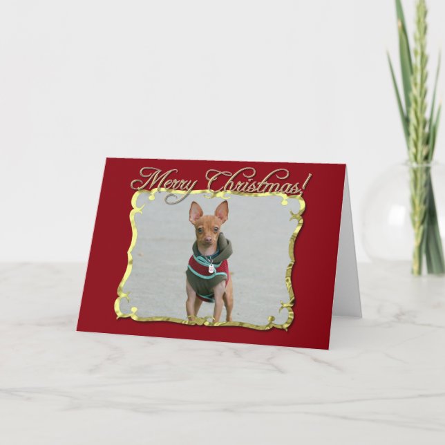 God jul Chihuahua hund Helgkort (Framsida)