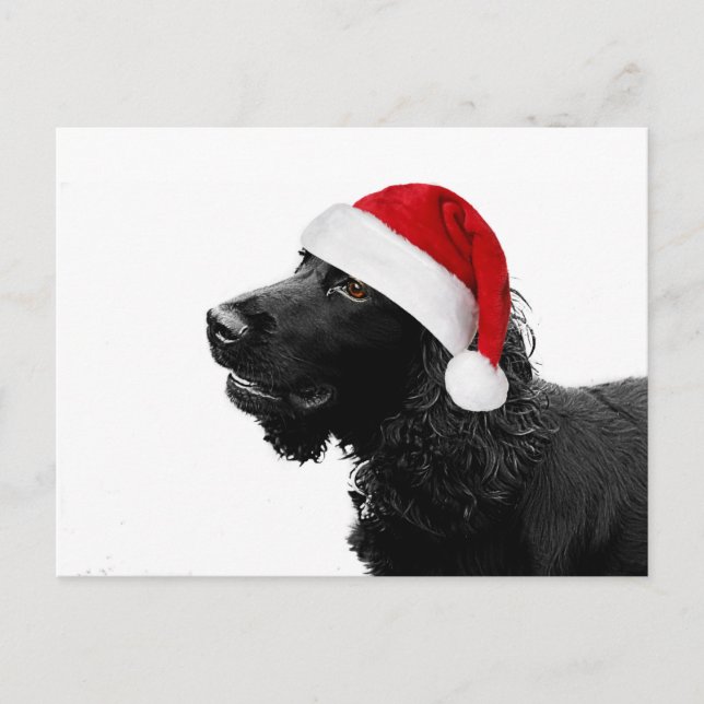 God jul Cocker Helg Vykort (Framsida)