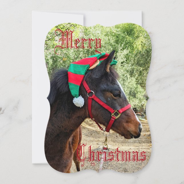 God jul Colt-kort (Framsida)