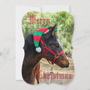 God jul Colt-kort