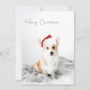 God jul Corgi Julkort