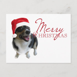 God jul Corgi Santa Helg Vykort