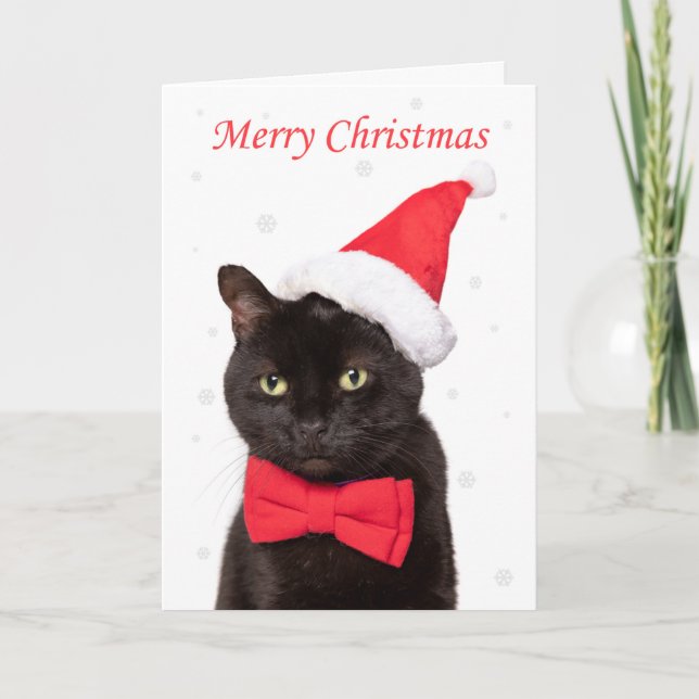 God jul Cute Cat in Santa Hat and Bow Tie Helgkort (Framsida)