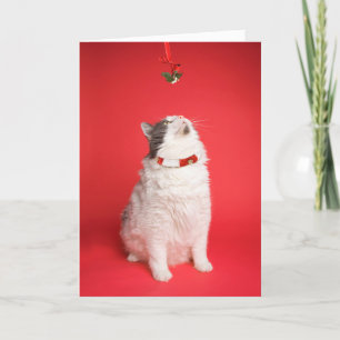 God jul Cute Kattunge under Mistletoe Helgkort