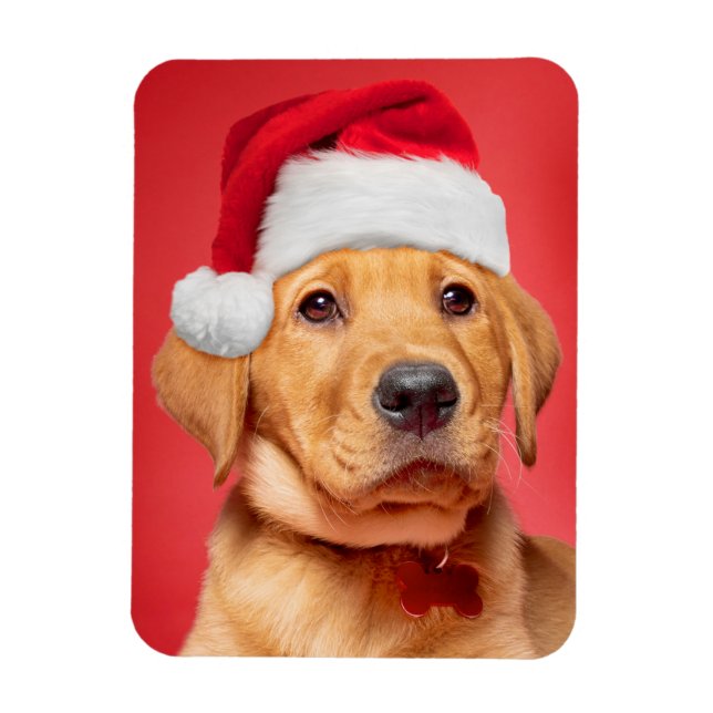 God jul Cute Labrador Puppy i Santa Hat Magnet (Vertikal)