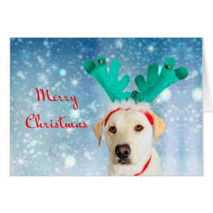 God jul Cute Pet Hund Lab med Antlers Hälsningskort