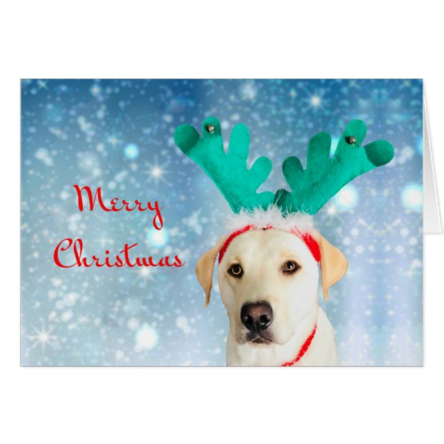 God jul Cute Pet Hund Lab med Antlers Hälsningskort (Framsidan Horizontal)