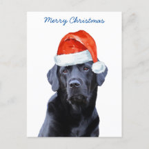 God jul Cute Santa Hund Labrador