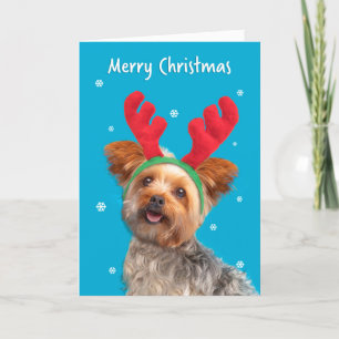 God jul Cute Yorkie Hund i Reindeer Öron Helgkort