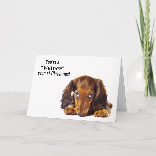 God jul Dachshund Hund Animal Helgdag Card Helgkort (Framsida)