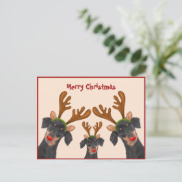 God jul Dachshund Reindeer Red Doggo Helg Vykort