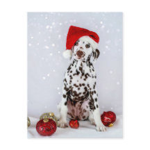 God jul Dalmatien