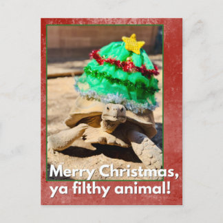 God jul, din äckliga odjur Sarcastic sköldpadda Vykort