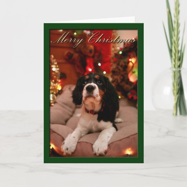 God jul English Springer Spain, Springer, Springer Helgkort (Framsida)