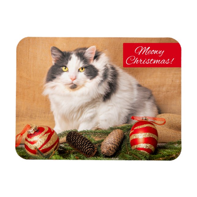 God jul för alla Cute Cat Humor Magnet (Horisontell)