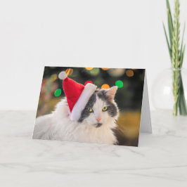 God jul för alla Cute Cat i Santa Hat Helgkort