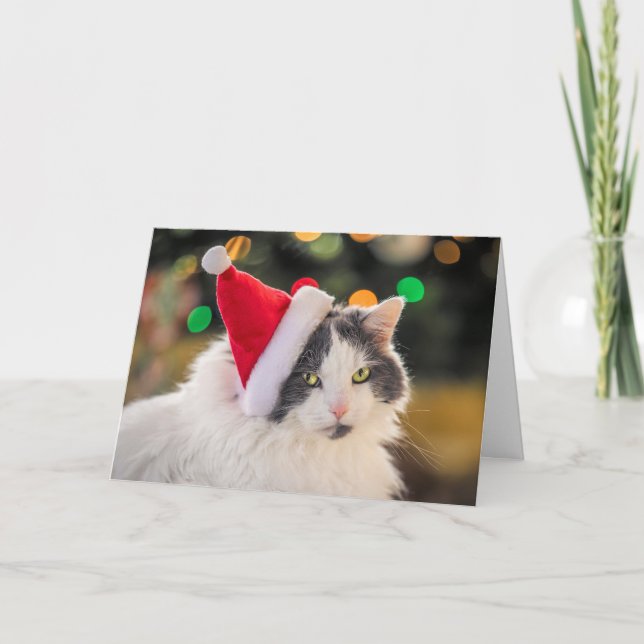 God jul för alla Cute Cat i Santa Hat Helgkort (Framsida)