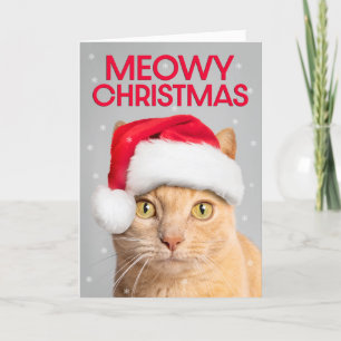 God jul för alla Cute Orange Tabby katt Helgkort