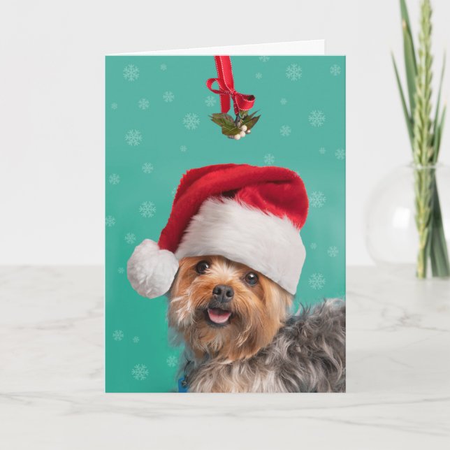 God jul för alla Cute Yorkie Hund Helgkort (Framsida)