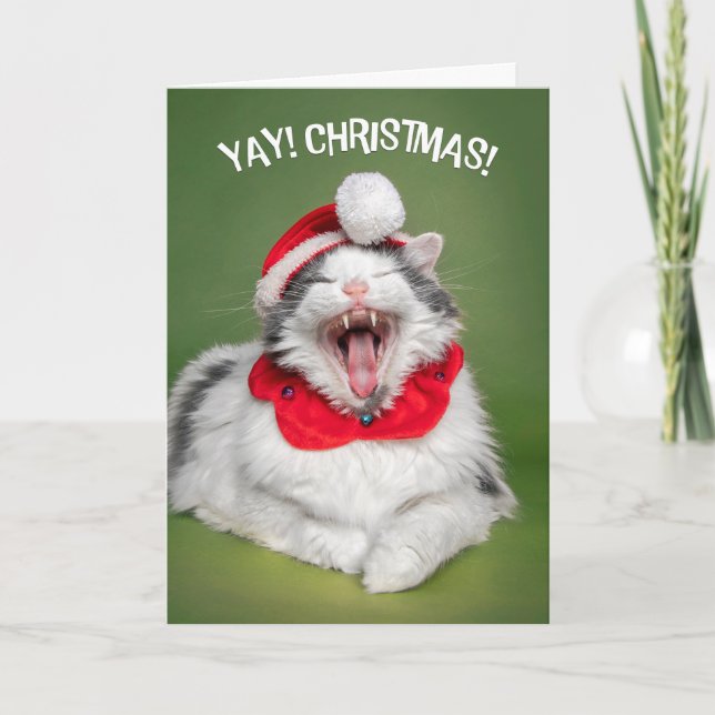 God Jul För Alla Glad Katt i Hatt  Helgkort (Framsida)