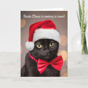 God Jul För Alla Katt i Tomte Hatt Humor Helgkort