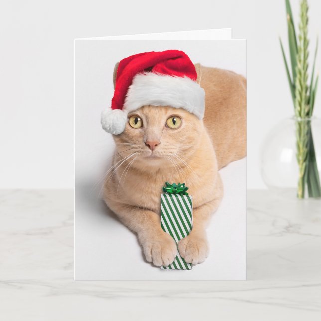 God jul för alla Orange Tabby katt Helgkort (Framsida)
