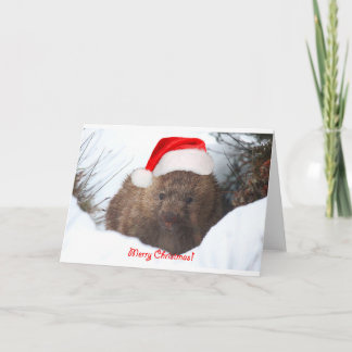 God jul för en wombat från besegrar Under Helgkort