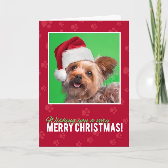 God jul för vem som helst Cute Yorkie Helgkort (Framsida)