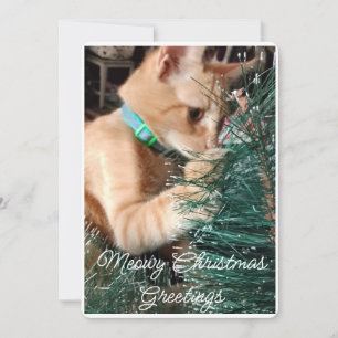 God jul, foto och text, Anpassningsbar Julkort