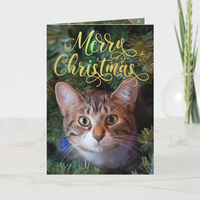 God jul-fotokort med fyra sidor helgkort (Framsida)