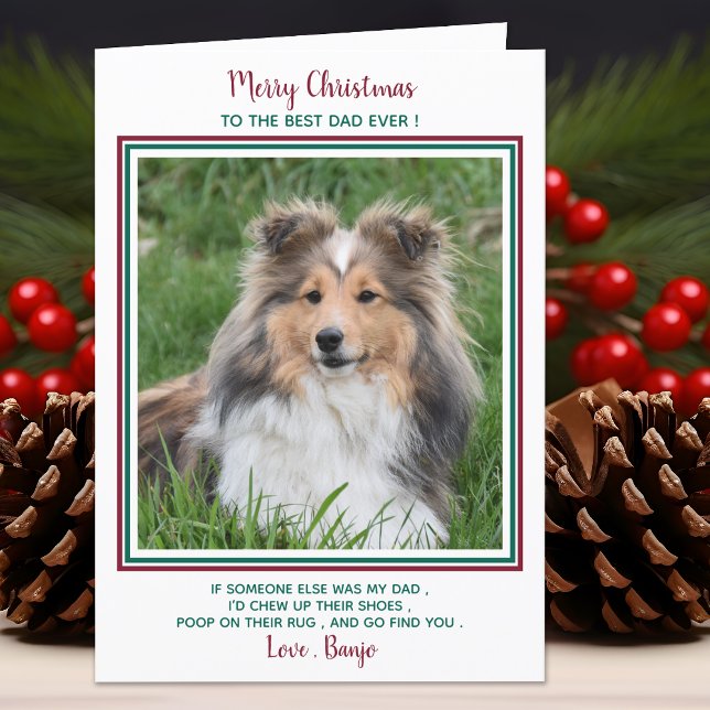 God jul-fotot med det finstilta bästa Hund Pappa n Helgkort (Skapare uppladdad)
