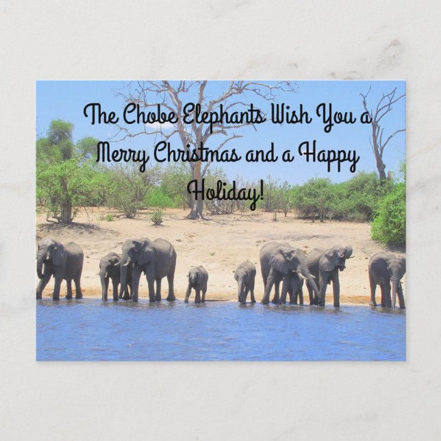 God jul från Chobe Elephants Postcard Helg Vykort (Framsida)