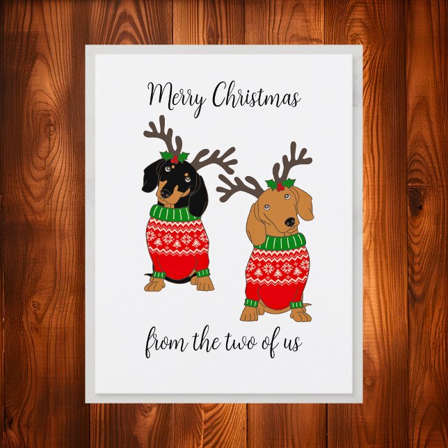God jul från de två amerikanska Dachshunds Helg Vykort (Merry Christmas From The Two Of Us Dachshunds Holiday Postcard)
