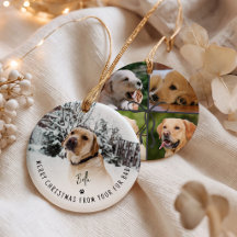 God Jul från din pälsbaby 5 Foto Hund