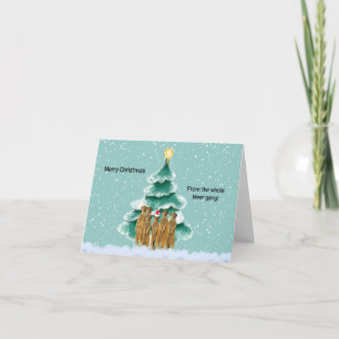 God Jul från Family Card Kort