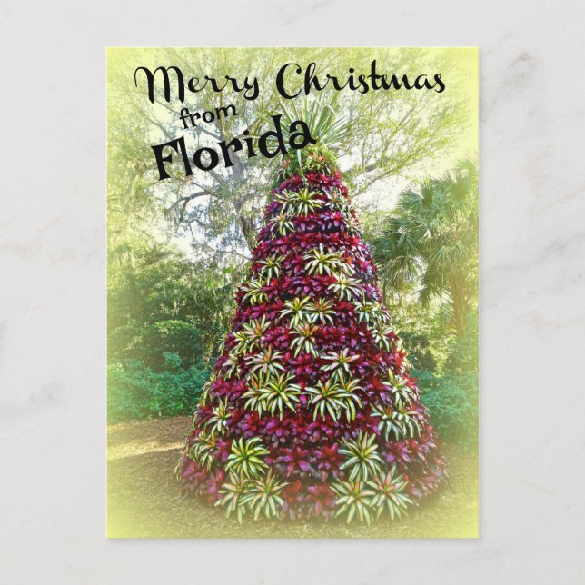God jul från Florida Bromeliad Träd Vykort (Framsida)