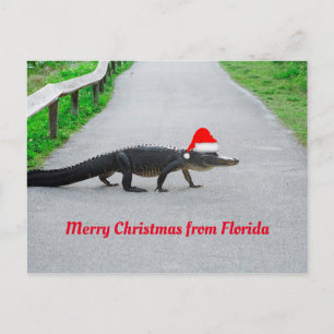 god jul från Florida lustiga alligator Vykort