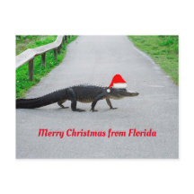 god jul från Florida lustiga alligator