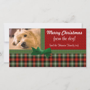 God jul från Hund Julkort