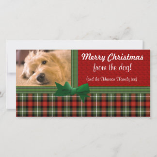 God jul från Hund Julkort